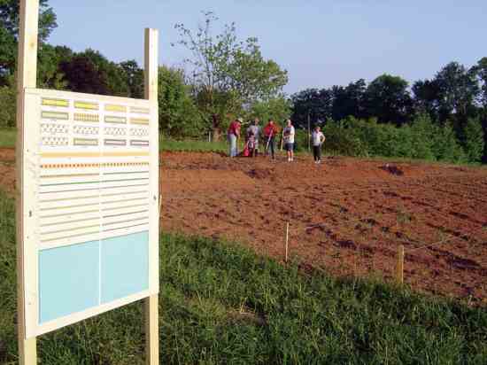 Reader Tom Wechter’s church in North Carolina used the MOTHER EARTH NEWS Vegetable Garden Planner to plan its 92-by-125-foot community garden that will provide food and work for some of the unemployed and financially challenged people in the area.